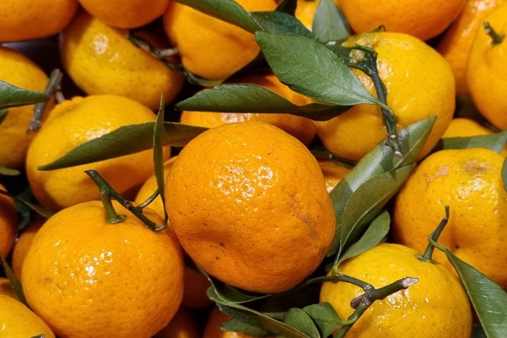    Фото © Анастасия Романова / Абзац