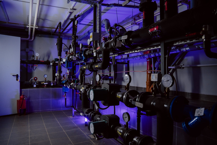 Фото Вероники Жарковской