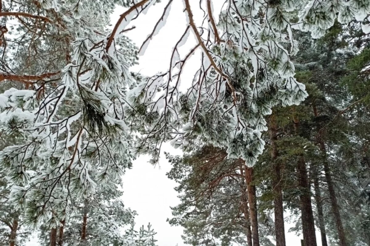    На большей части региона температура воздуха в течение дня упала на 10°С и более.