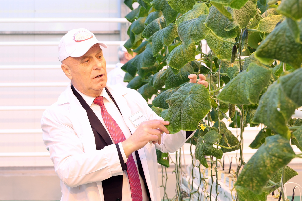 Александр Басанский – человек, строящий будущее \ Фото: Магаданская областная дума