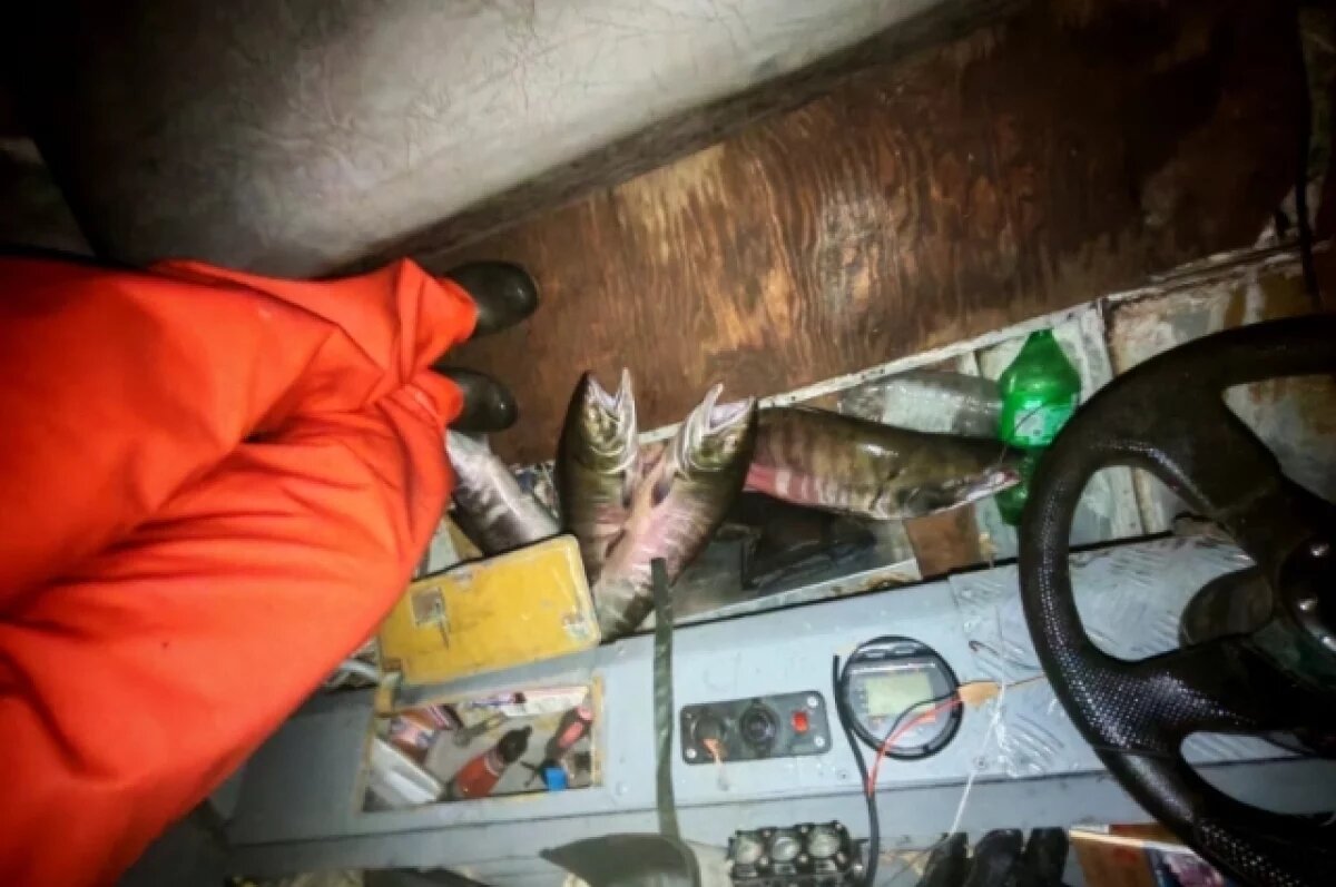    Браконьеры в Хабаровском крае попались с уловом кеты на 370 тысяч рублей