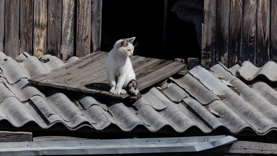После ночной атаки дронов часть жителей Ростовской области осталась без света