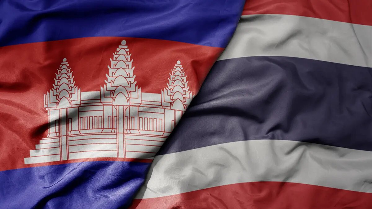    Фото: vm.ru Оливия Ильинская