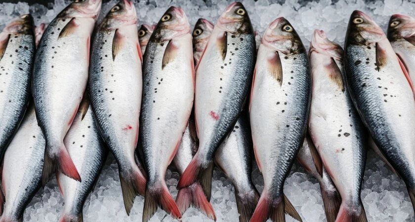    нейросеть shedevrum