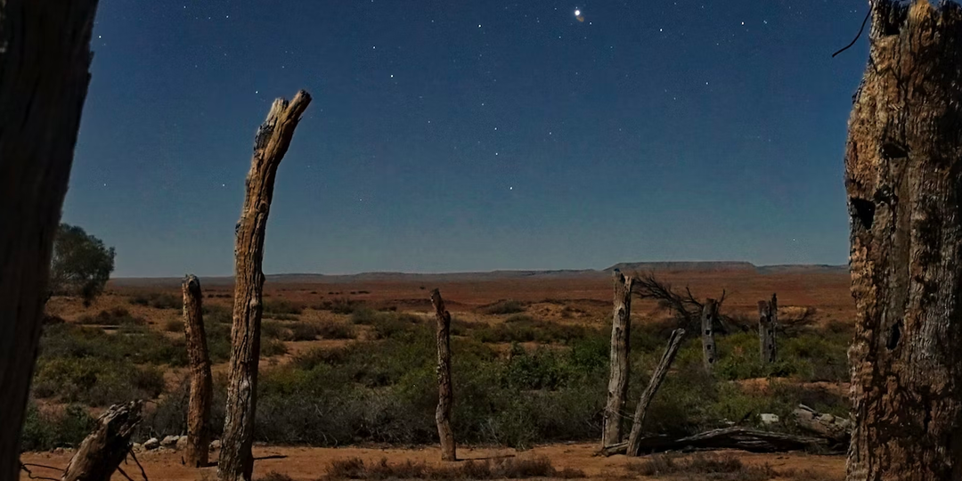 Увечья скота — виноваты ли в этом инопланетяне?