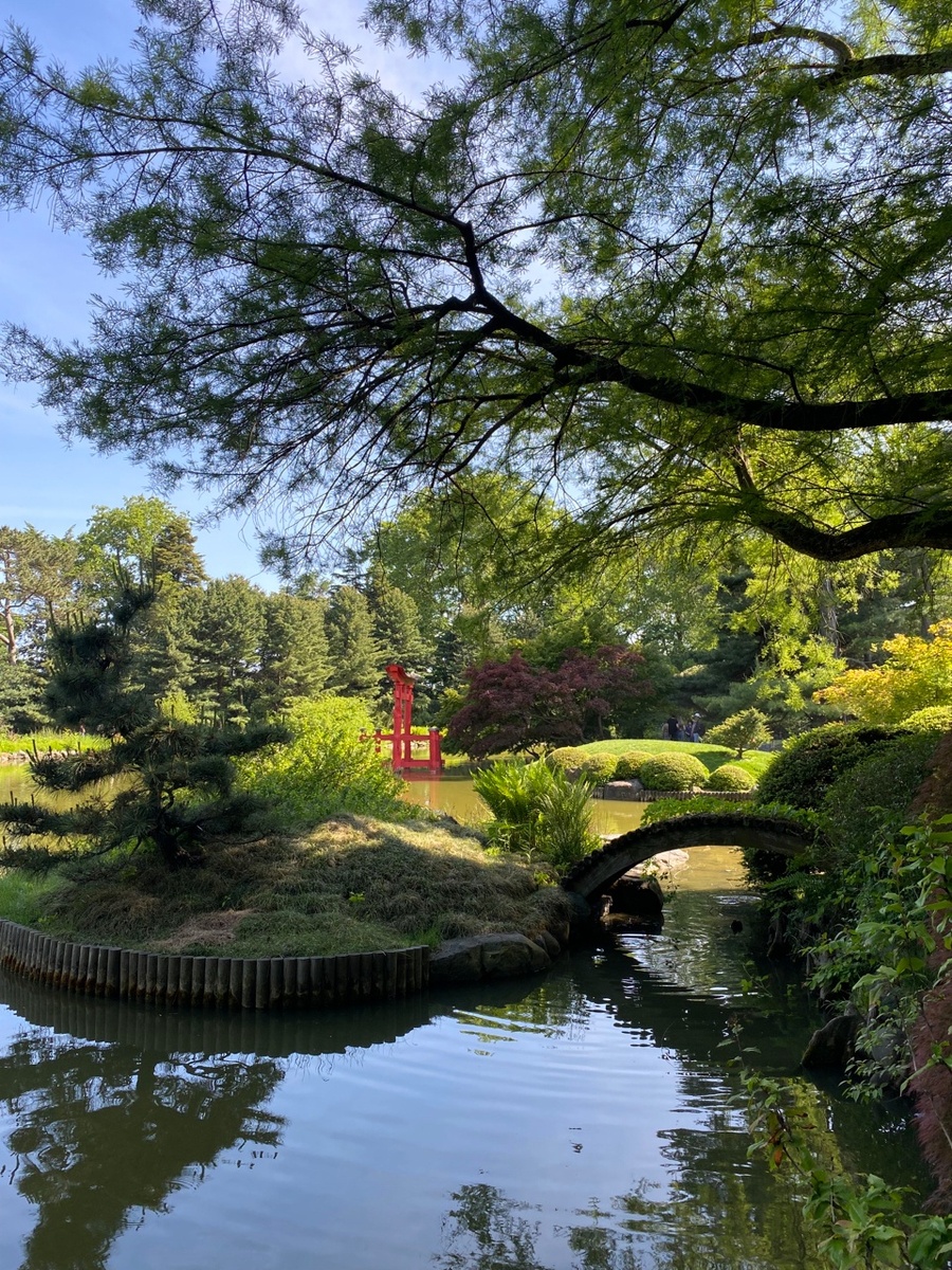 ©️Apostilleny, текст, оформление, 2025