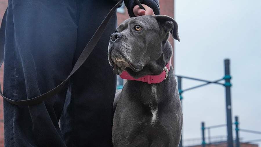    Фото: ИЗВЕСТИЯ/Андрей Эрштрем