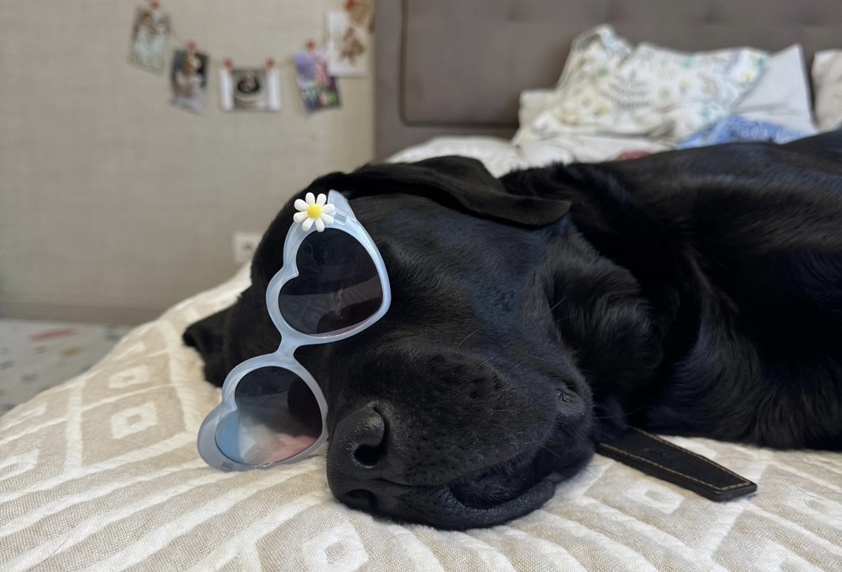 Ему тоже с нами нелегко ))