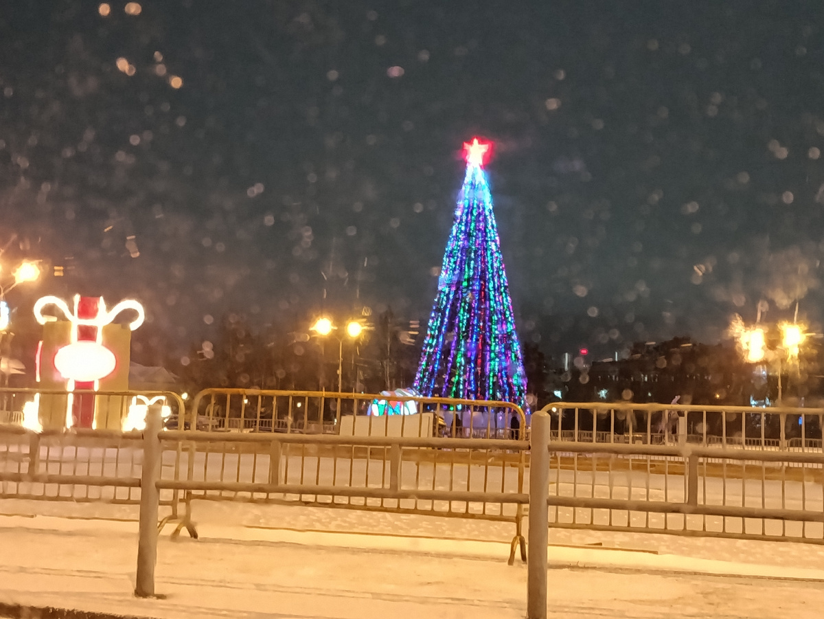Елка на площади Кирова