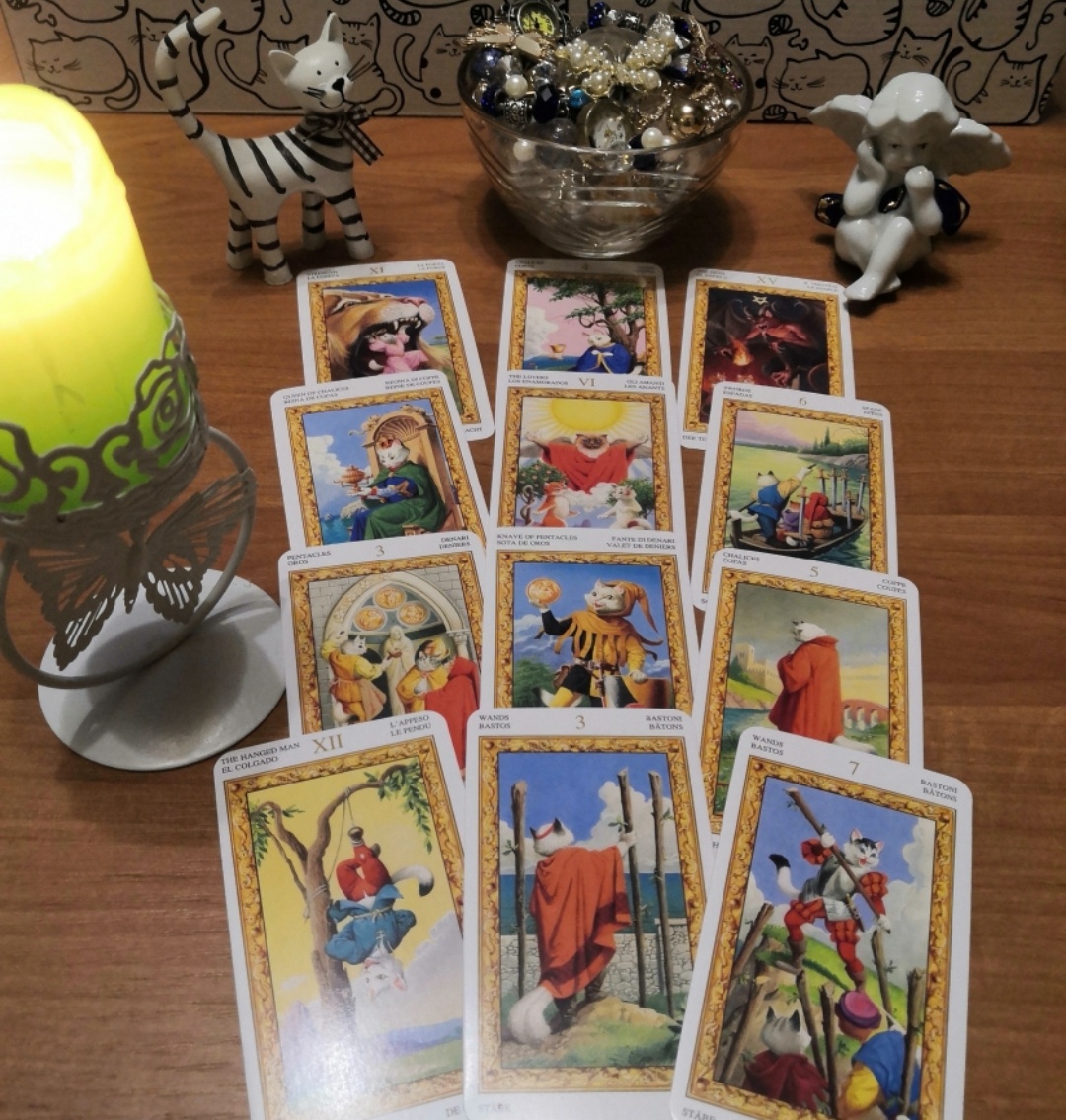 Сегнификат. 