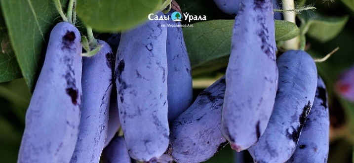 Создать карусель