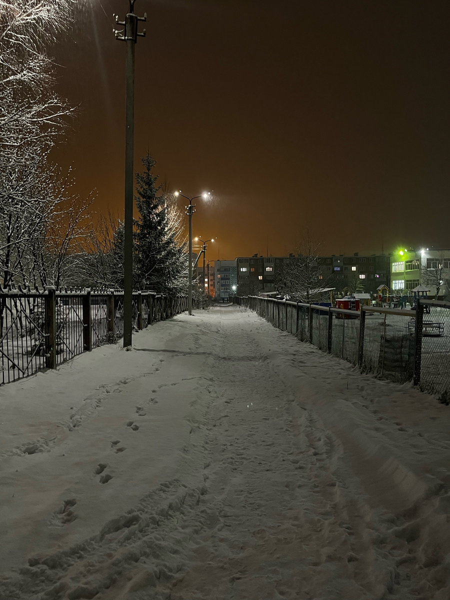 По дороге в сад