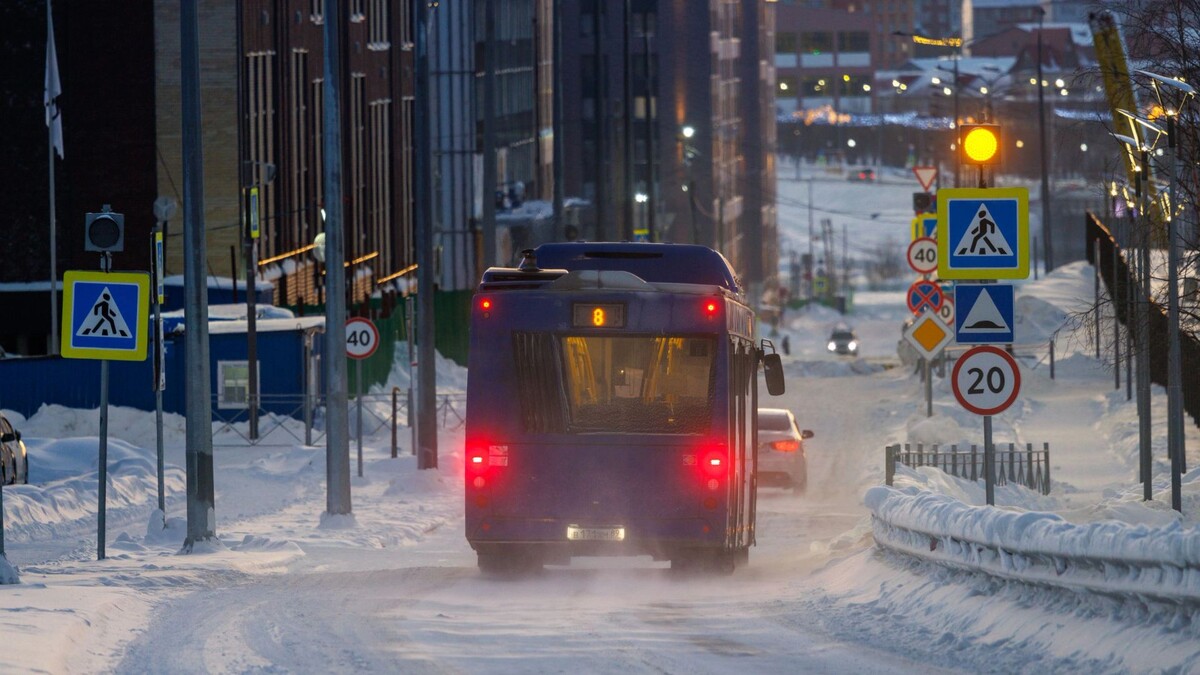    Фото: Федор Воронов/«Ямал-Медиа»