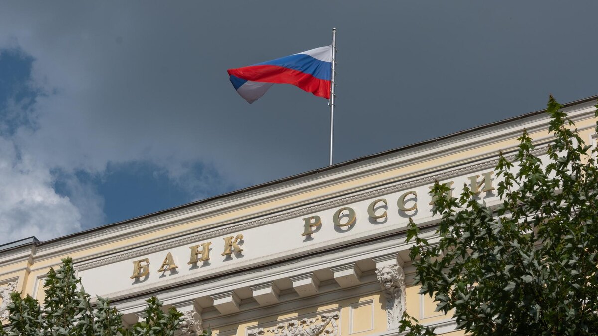    Фото: ИЗВЕСТИЯ/Сергей Виноградов