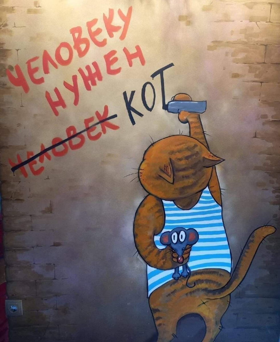 Изображение из открытых источников интернет