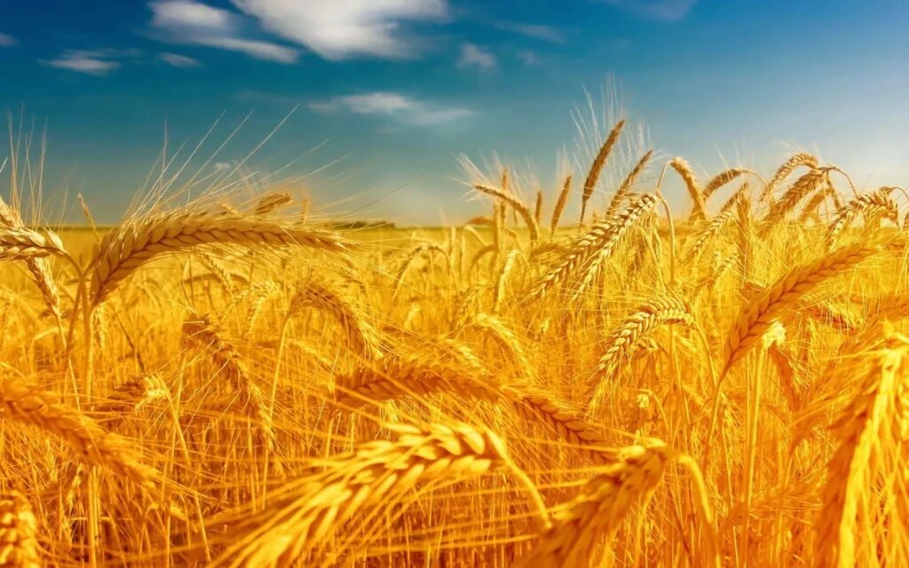 Злачное место. Классика