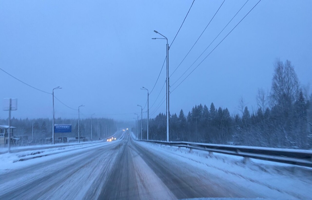    Фото: Госавтоинспекция Петрозаводска / ВК