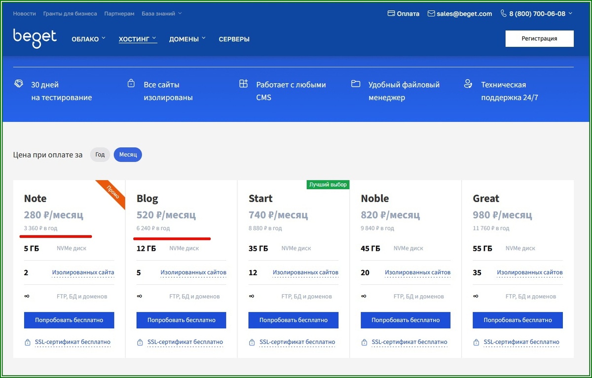 Стоимость хостинга в месяц