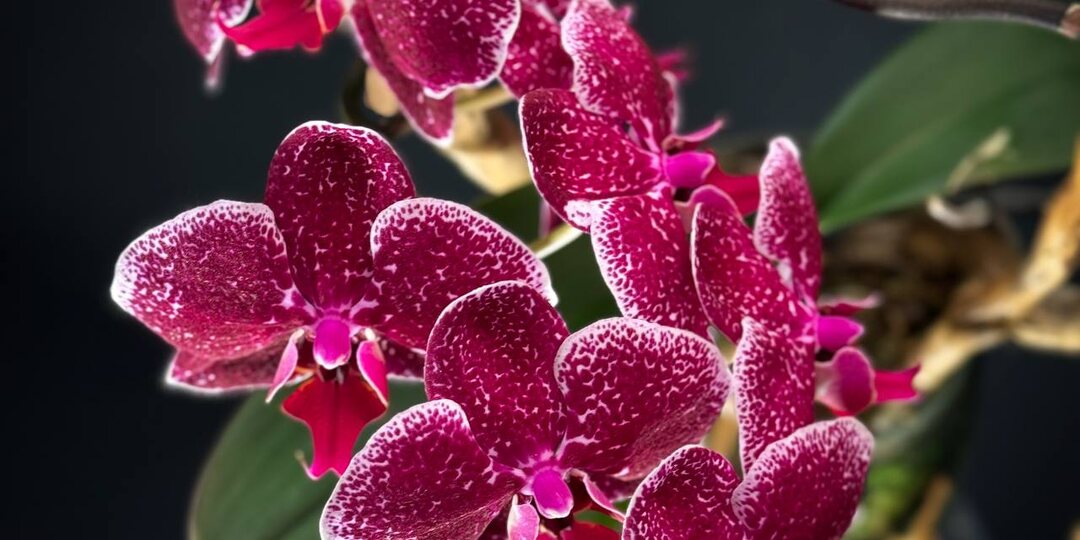 Доброе утро✨хорошего начала недели