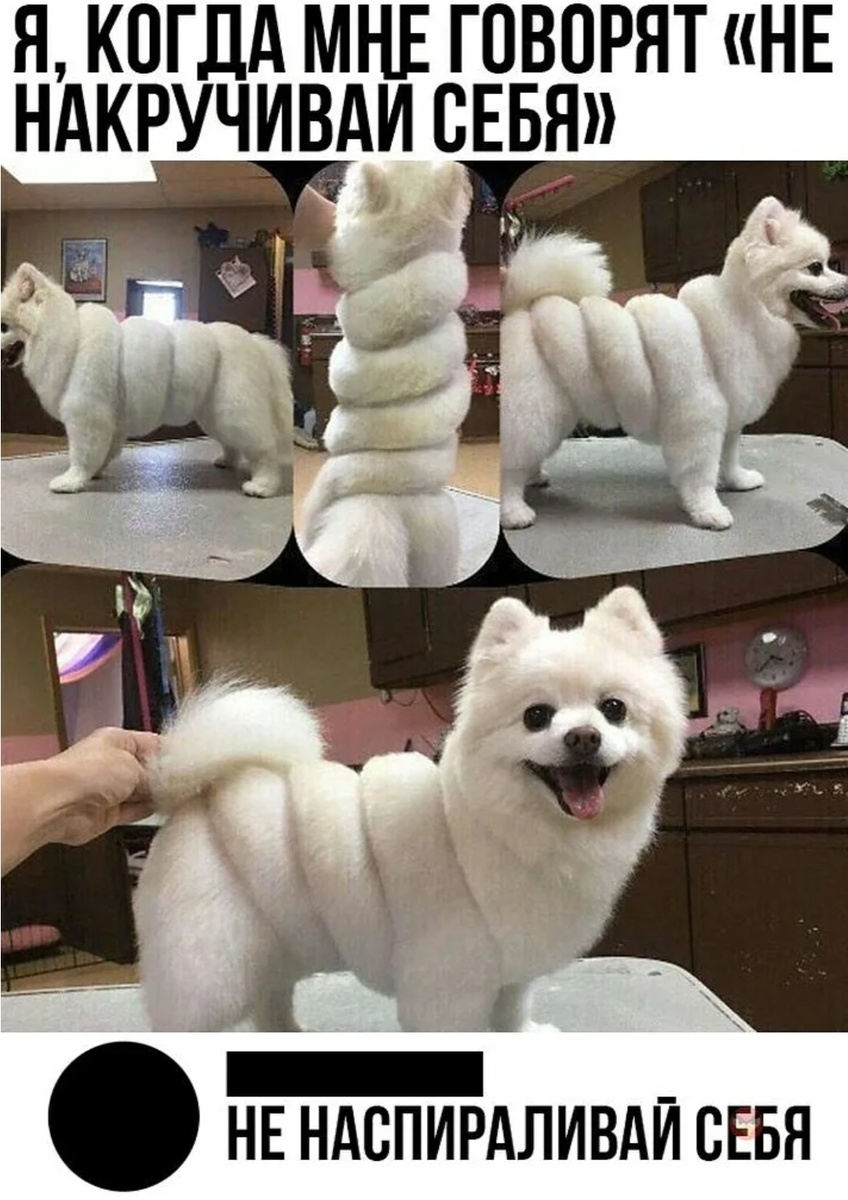 Яндекс-картинки 