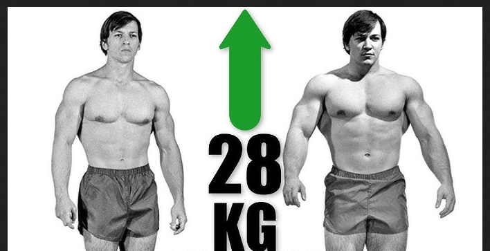 Кейси Виатор.