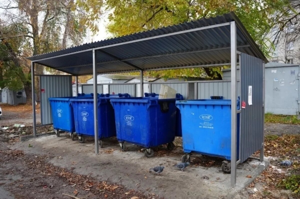    В 2025 году в Ульяновске обустроят 86 контейнерных площадок