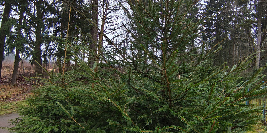 Задача из олимпиады по математике для 6 класса🥺