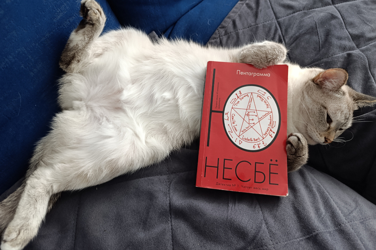 Сегодня очередную книгу о Харри Холе представляет Дженька, своей позой передавая привет Лене, хозяйке дружественного канала "С книгой в обнимку".☺