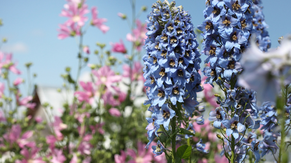 Результат говорит сам за себя