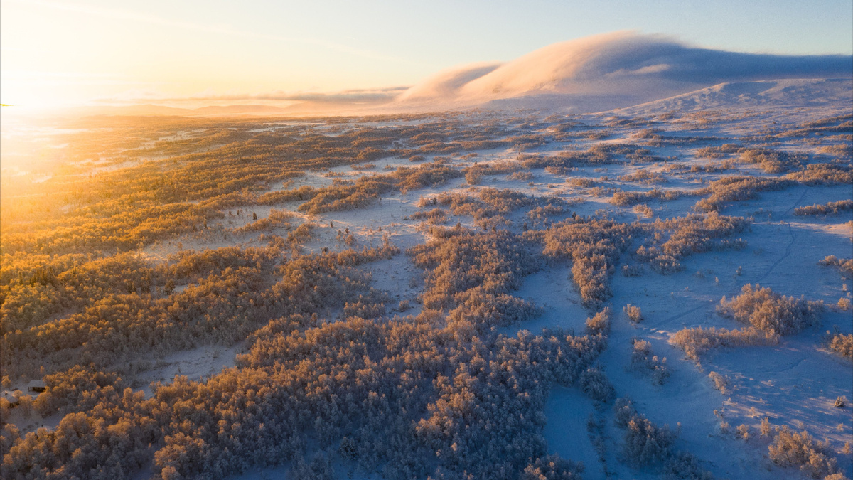 География и климат
