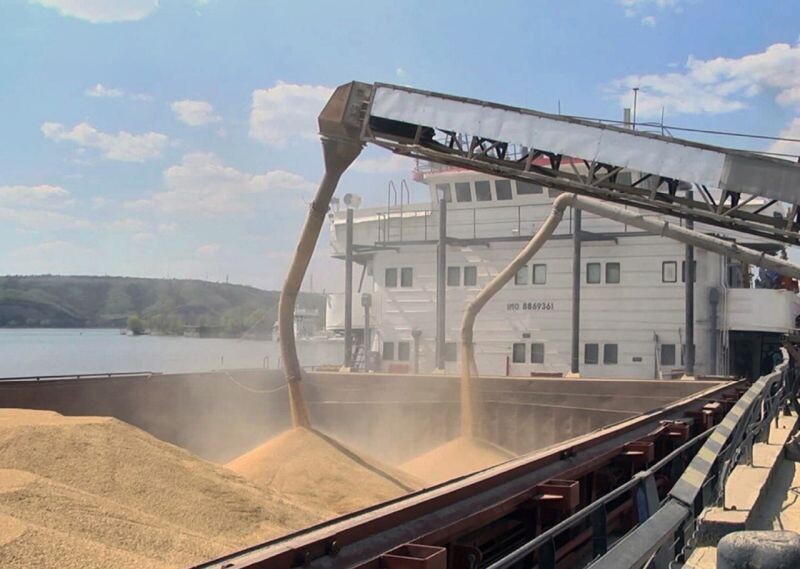    Фото: Россельхознадзор Валерия Стальная