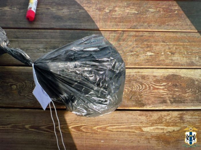 Фото ГУ МВД по Новосибирской области