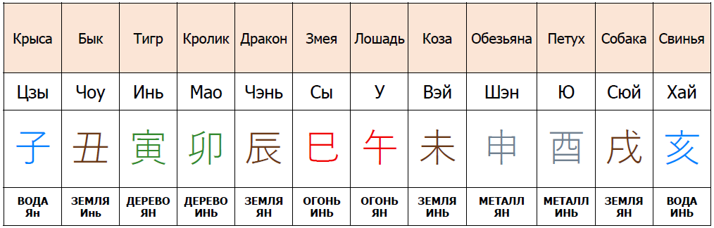 Земные ветви с обозначениями