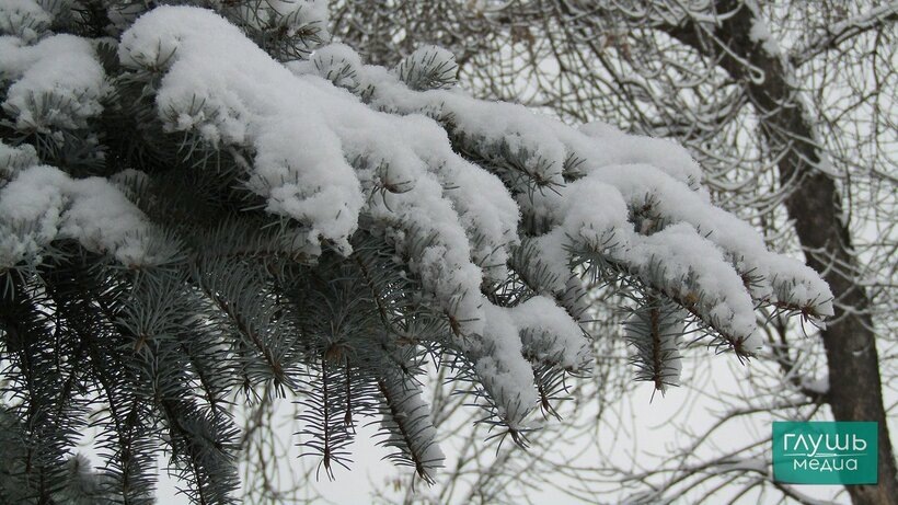   Фото: «Глушь медиа»