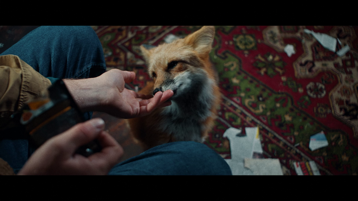 Фото: кадр из сериала «Как приручить лису», предоставлено Okko