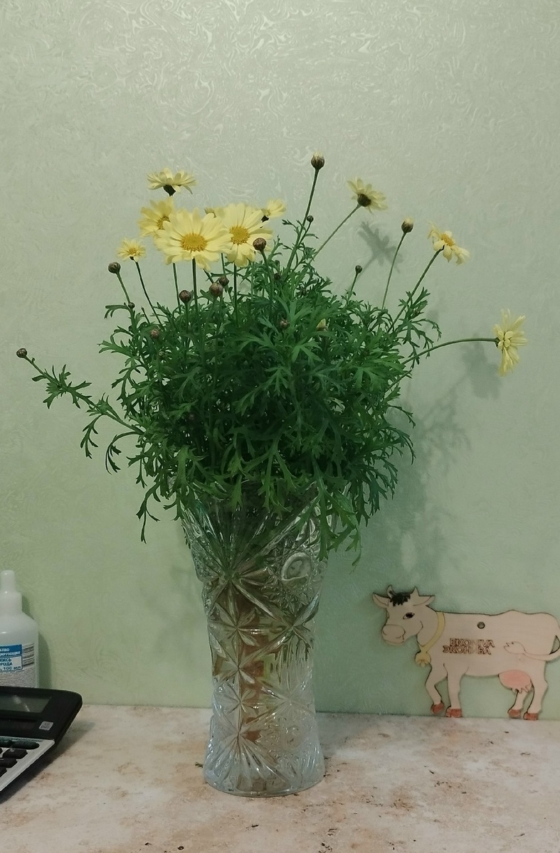 Солнечные цветочки в последнем букете.