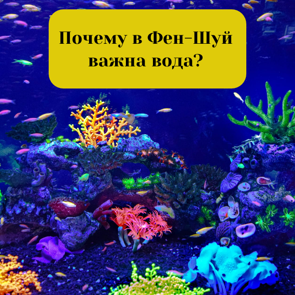 креатива автора