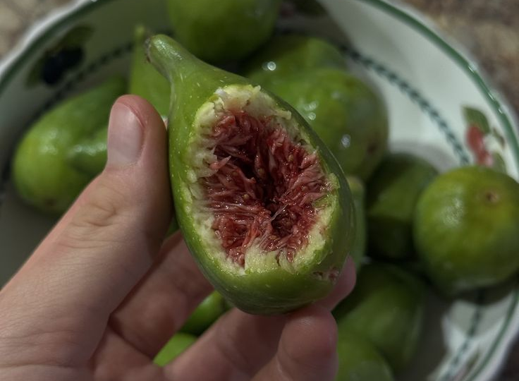 Как моя бабушка всегда ЕЛА ТЁПЛЫЙ ТВОРОГ и её суставы НИКОГДА НЕ СТРАДАЛИ