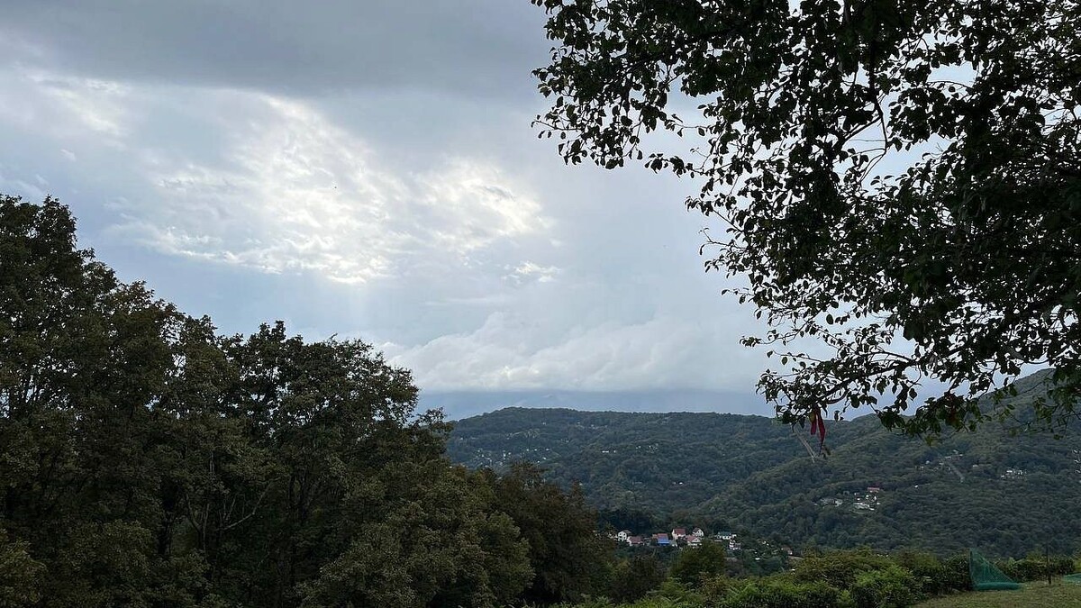    Фото: телеканал «Краснодар»