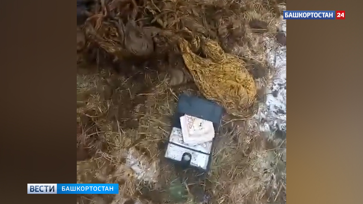    Кошелек с крупной суммой денег обнаружили в желудке у коровы в Башкортостане