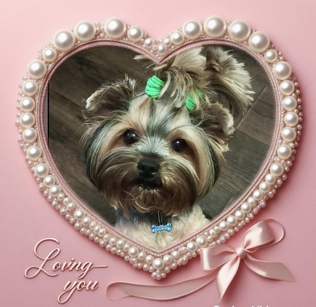 Наша Соня ❤️