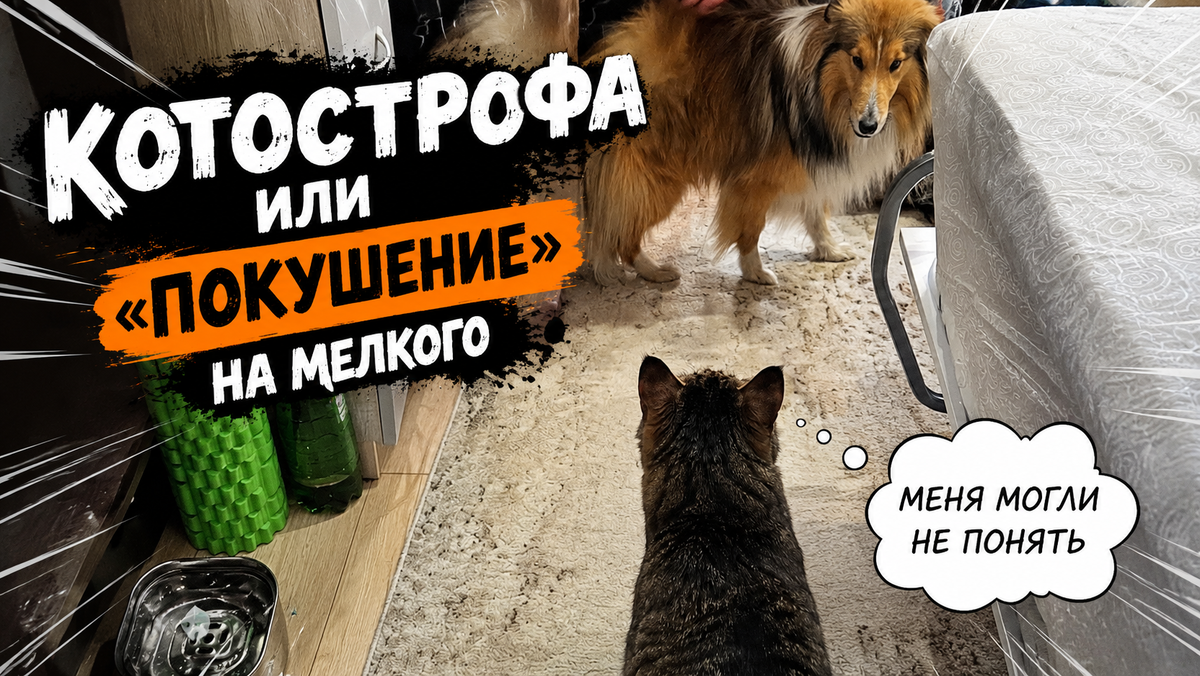 Небольшой спойлер.