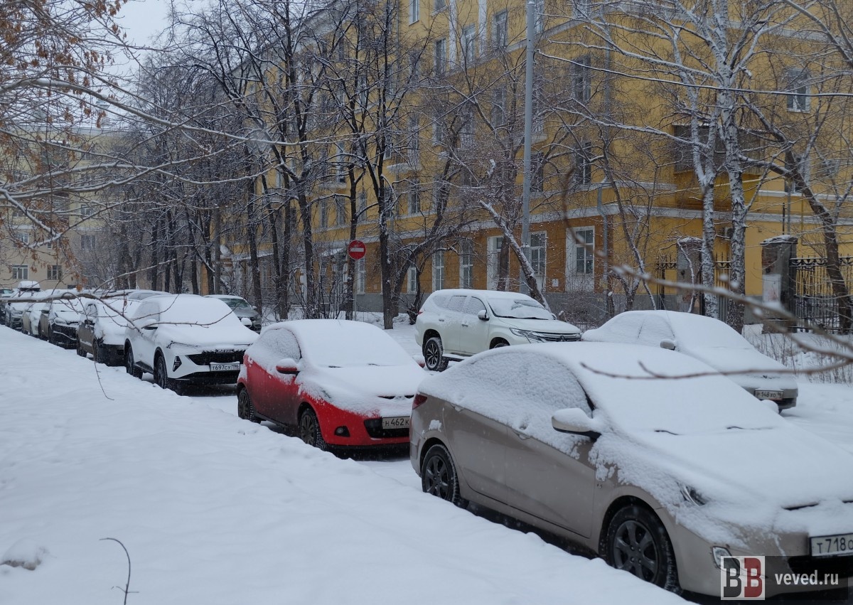     Фото: Вечерние ведомости