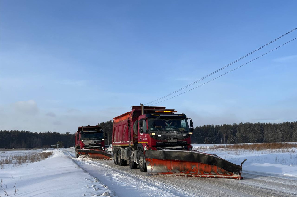     Фото: ДИП Свердловской области