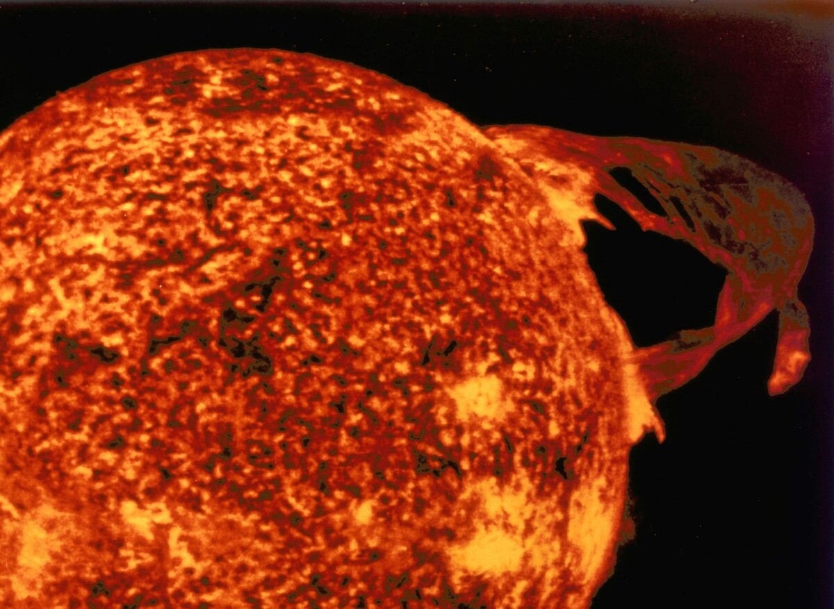     / Источник: © Global Look Press