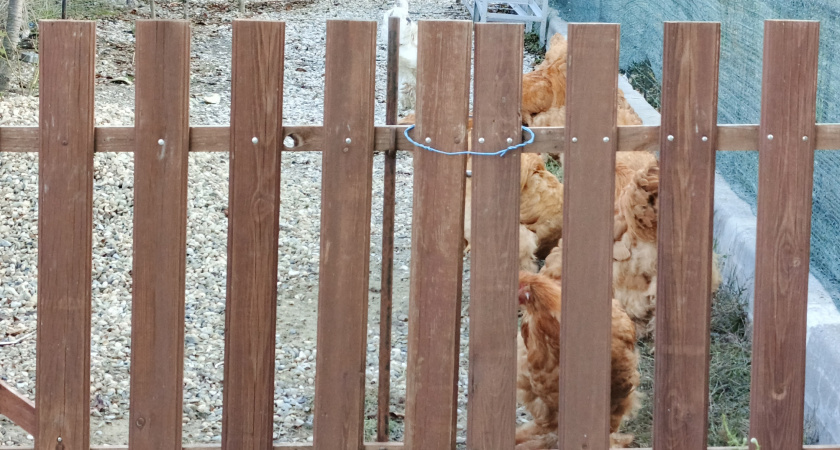    Фото irkutsk.news