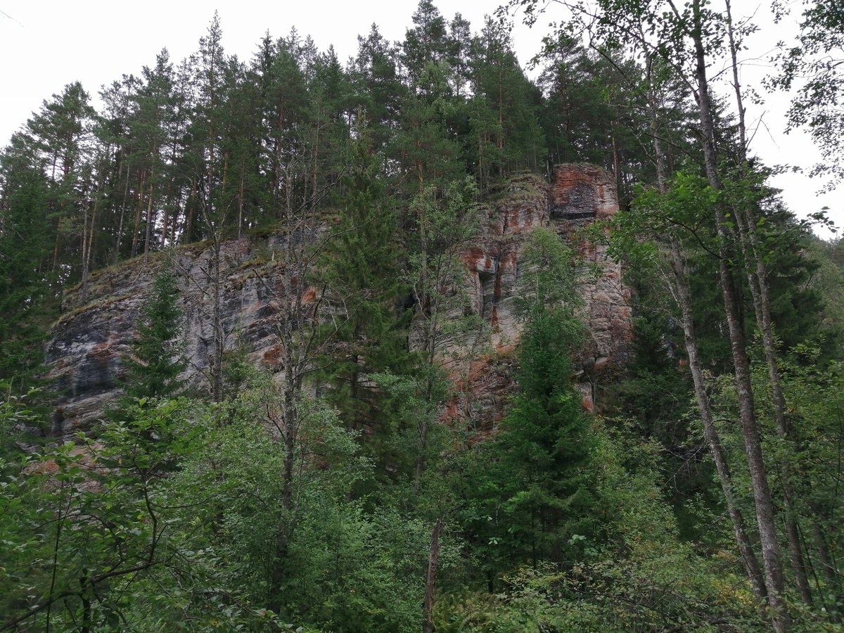 Фото: Алексей Чугунов