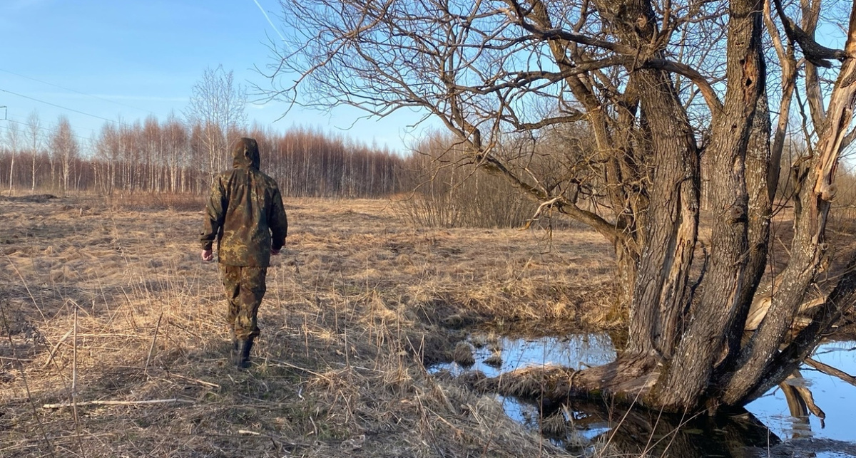    архив Про Города