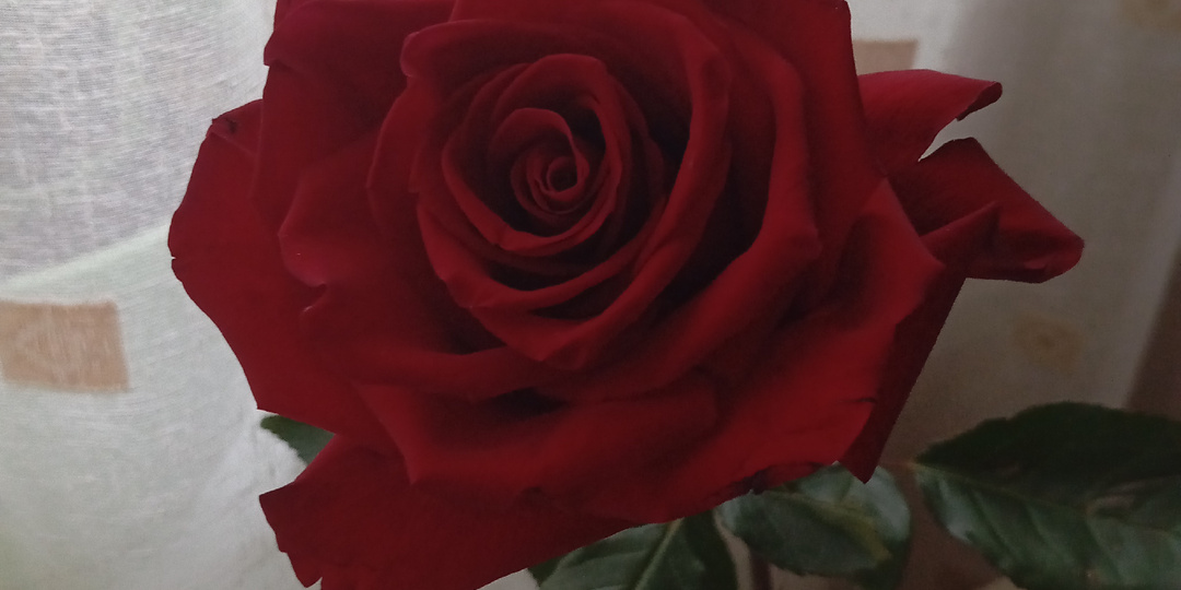 Прекрасные мероприятия в зиме.