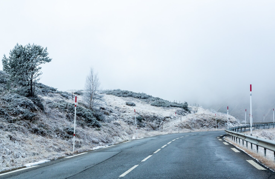 Фото: freepik / wirestock